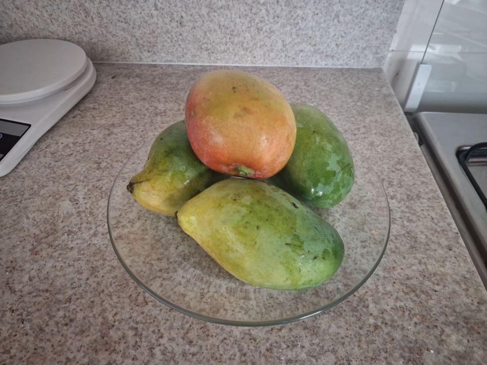 3 manga-espada e 1 manga-rosa