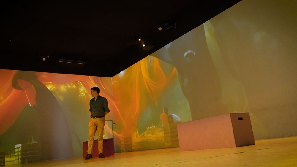 me standing looking a bit overawed in a wraparound viewing gallery