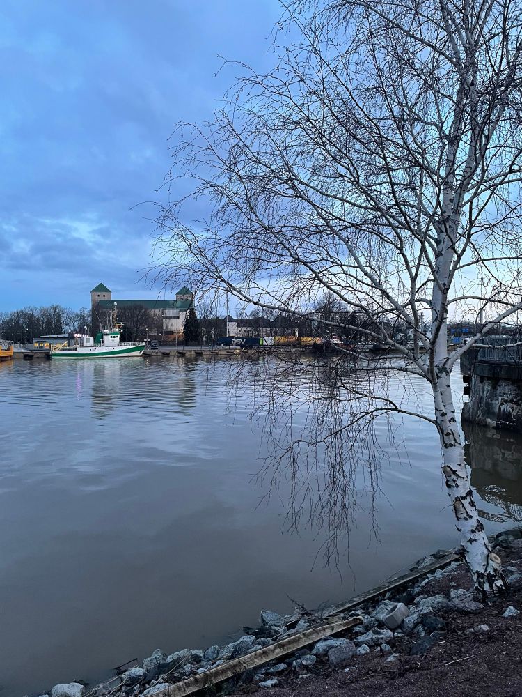 Aurajokisuu. Koivu, taustalla hinaaja ja Turun linna.