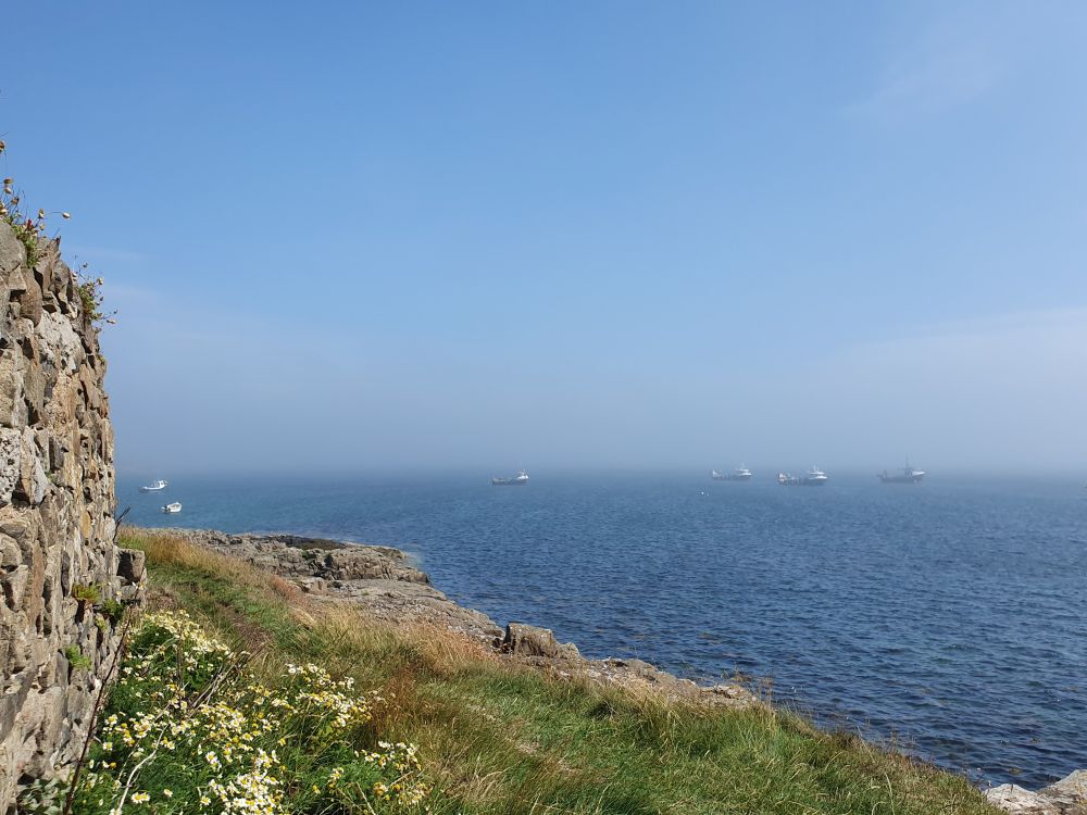 Fishing boats moored on the blue sea, with old stone wall, pineapple may and rough grass in the foreground.