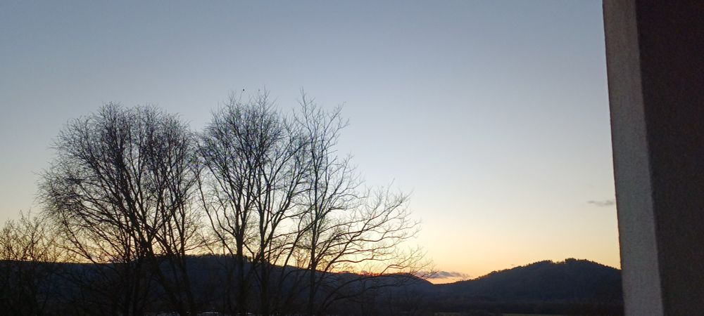 Sonnenuntergang mit Bäumen 