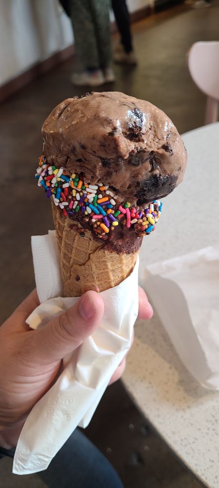 Chocolate brownie ice cream in a waffle cone dipped in chocolate and sprinkles. 