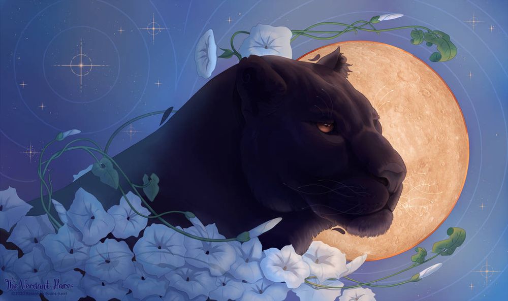 A picture of a black panther set against the moon, with moon flowers surrounding them. In the background there are stars and ripples