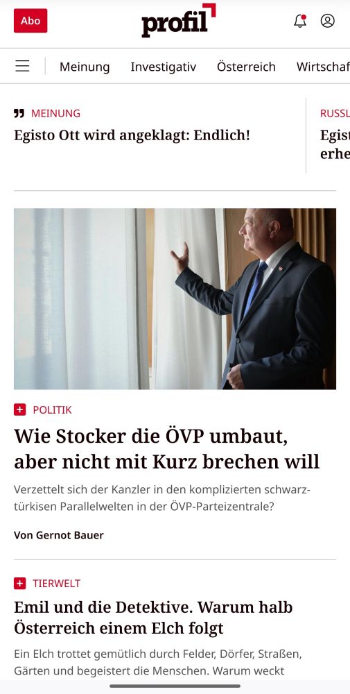 Screenshot Website Profil.at