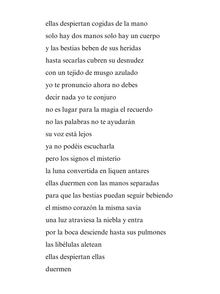 ellas despiertan cogidas de la mano
solo hay dos manos solo hay un cuerpo
y las bestias beben de sus heridas
hasta secarlas cubren su desnudez
con un tejido de musgo azulado 
yo te pronuncio ahora no debes 
decir nada yo te conjuro 
no es lugar para la magia el recuerdo
no las palabras no te ayudarán 
su voz está lejos
ya no podéis escucharla
pero los signos el misterio
la luna convertida en liquen antares
ellas duermen con las manos separadas 
para que las bestias puedan seguir bebiendo 
el mismo corazón la misma savia 
una luz atraviesa la niebla y entra
por la boca desciende hasta sus pulmones 
las libélulas aletean
ellas despiertan ellas
duermen