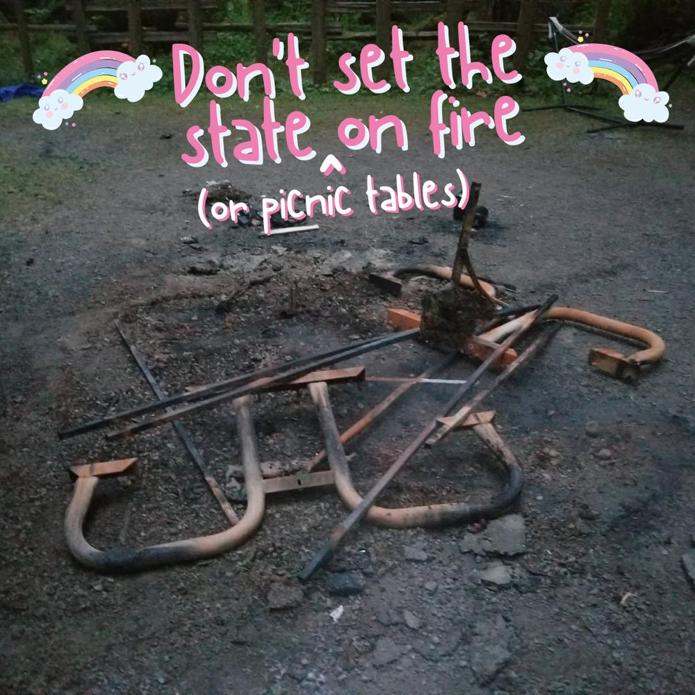 An image of (what used to be a) picnic table, that has been rudely burnt to a crisp at one of our camping areas in the Olympic Region. The image has the words "Don't set the state (or picnic tables) on fire" in a kind font with rainbows so people know I say it with love. 