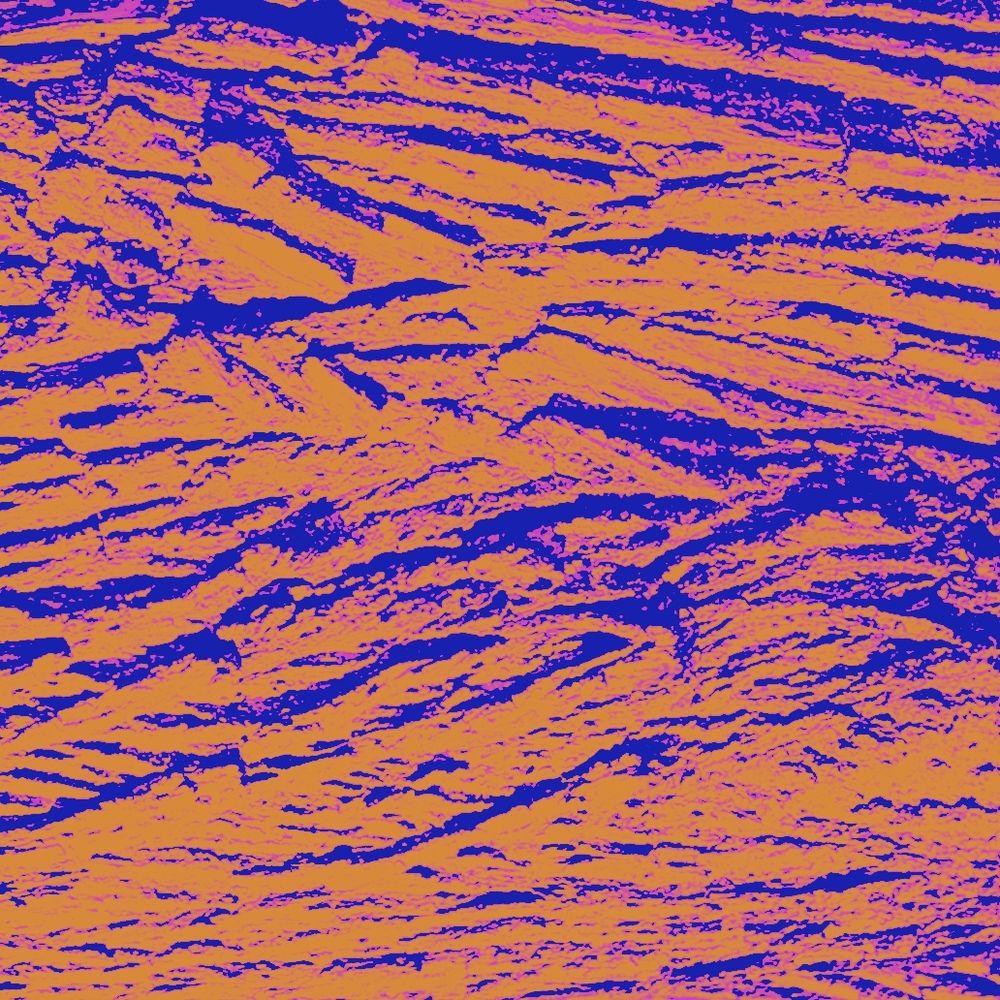 high contrast tree bark pattern in blue and orange 