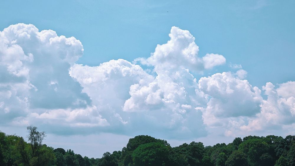bright white clouds above a green tree line