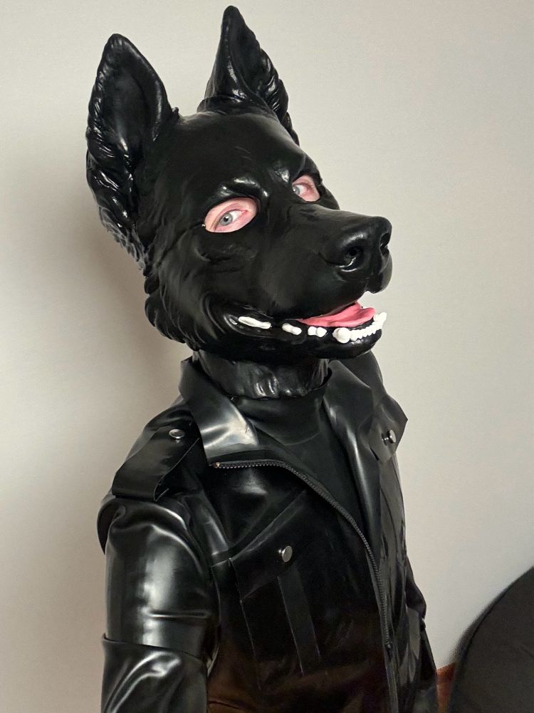 Ookami as a latex wolf, wearing a latex Snap Jaw hood.