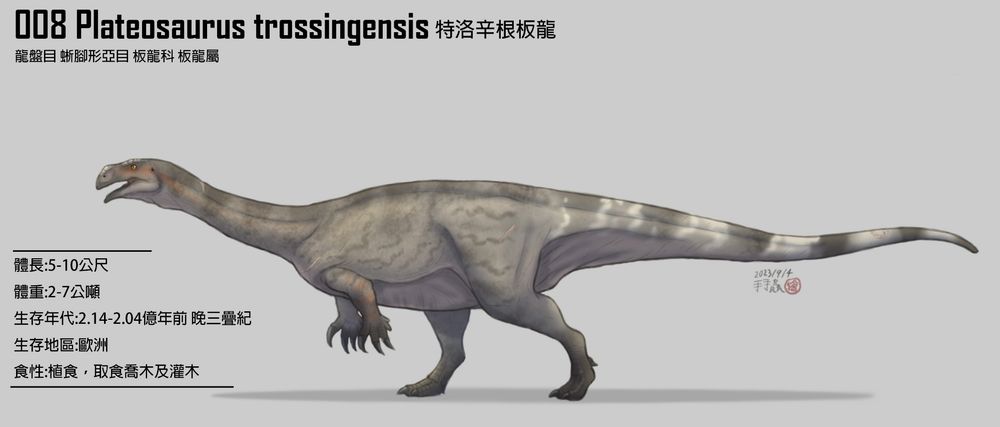 板龍，其前肢不著地而是以雙足行走