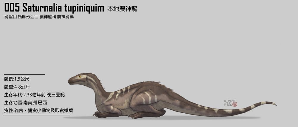 一隻蹲伏的農神龍（Saturnalia）