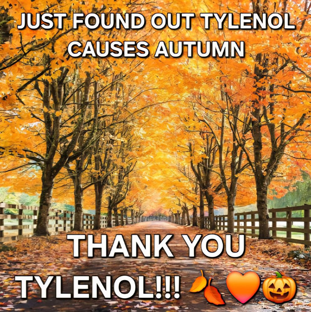 Image of a path surrounded by trees with orange leaves. The top text says "JUST FOUND OUT TYLENOL CAUSES AUTUMN" and the bottom text says "THANK YOU TYLENOL!!!" with Autumn themed emojis.
