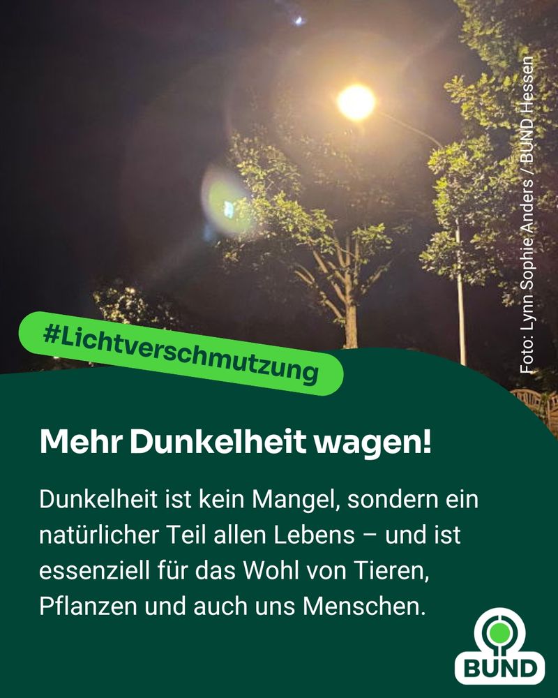 Dunkelheit ist kein Mangel, sondern natürlicher Teil des Lebens – und ist essenziell für das Wohl von Tieren, Pflanzen und uns Menschen.