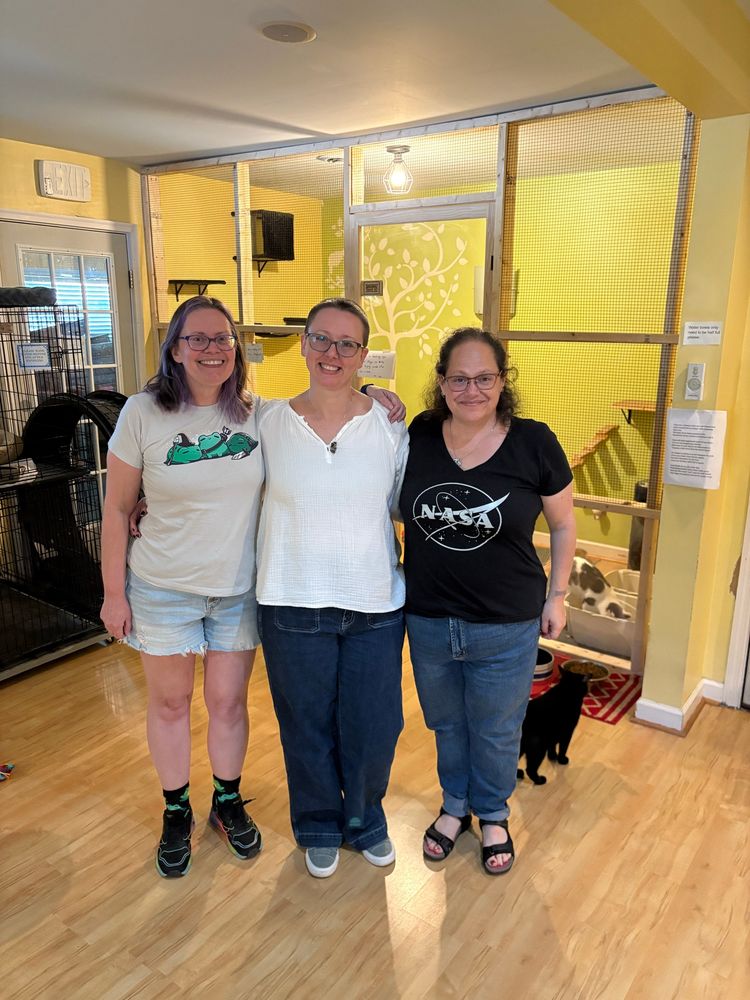 Three white ladies posing in front of a deluxe cat enclosure in a cat sanctuary, with bonus black cat wandering free behind them.