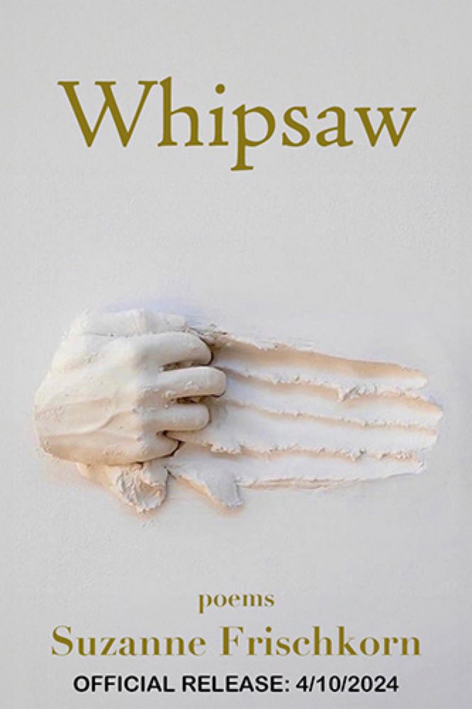 Book Review :: Whipsaw by Suzanne Frischkorn