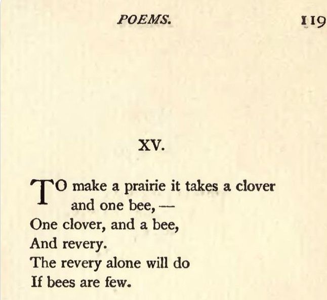 XV. To make a prairie it takes a clover poem by Emily Dickinson