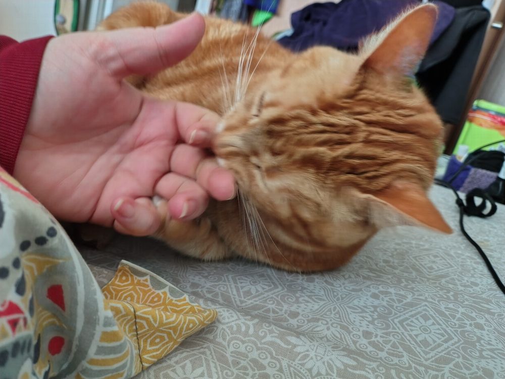 Now scrunching his nose as he tries to bite my knuckles.