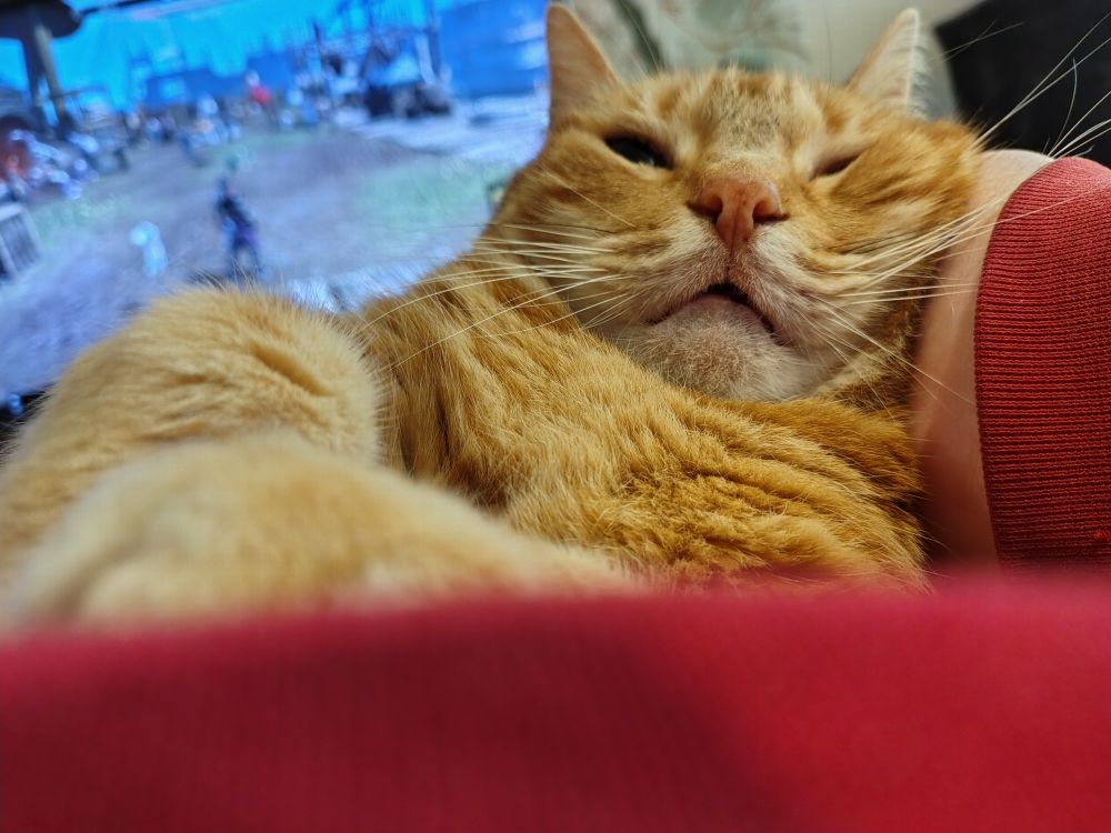 Similar photo as previous, but the camera angle has been lowered and his cheek resting on my hand is smooshed.
