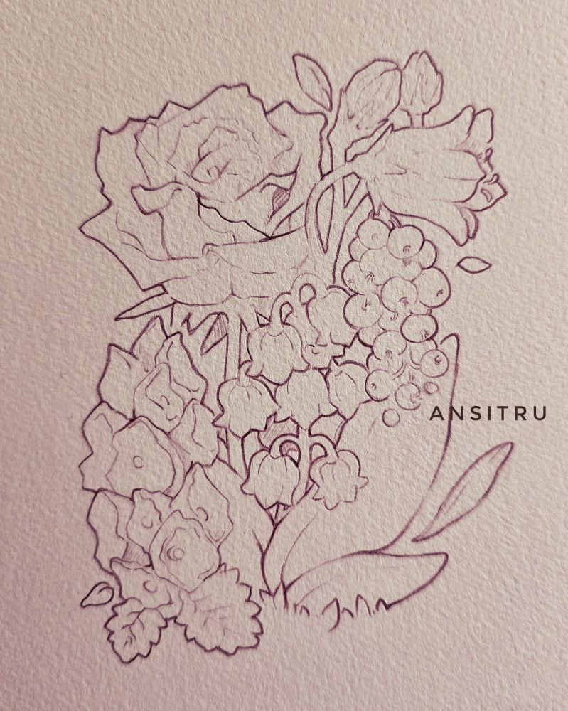 Photo of a pencil line drawing of a bouquet with a rose, red currants and Lily of the valley.