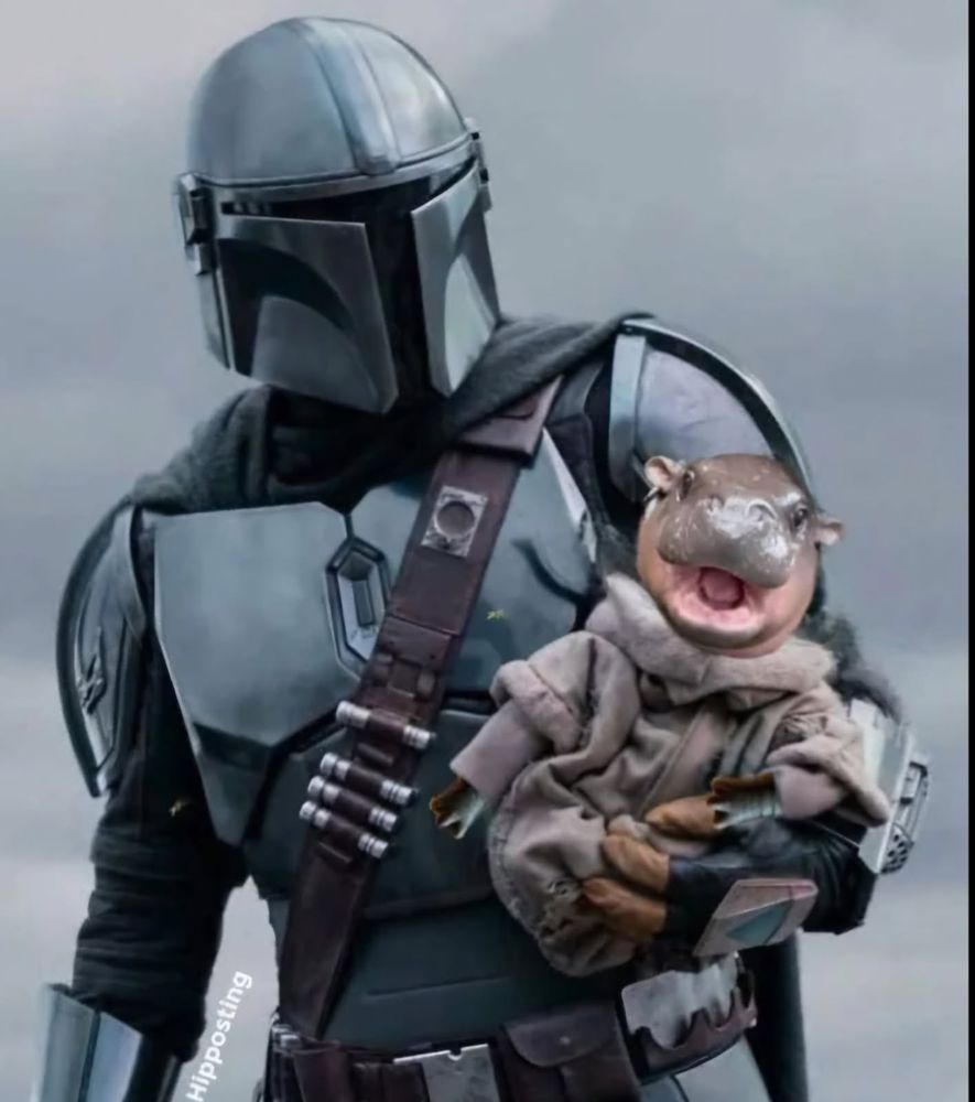 The Mandalorian, Din Djarin, is gently cradling a swaddled Moo Deng, the pygmy hippo.