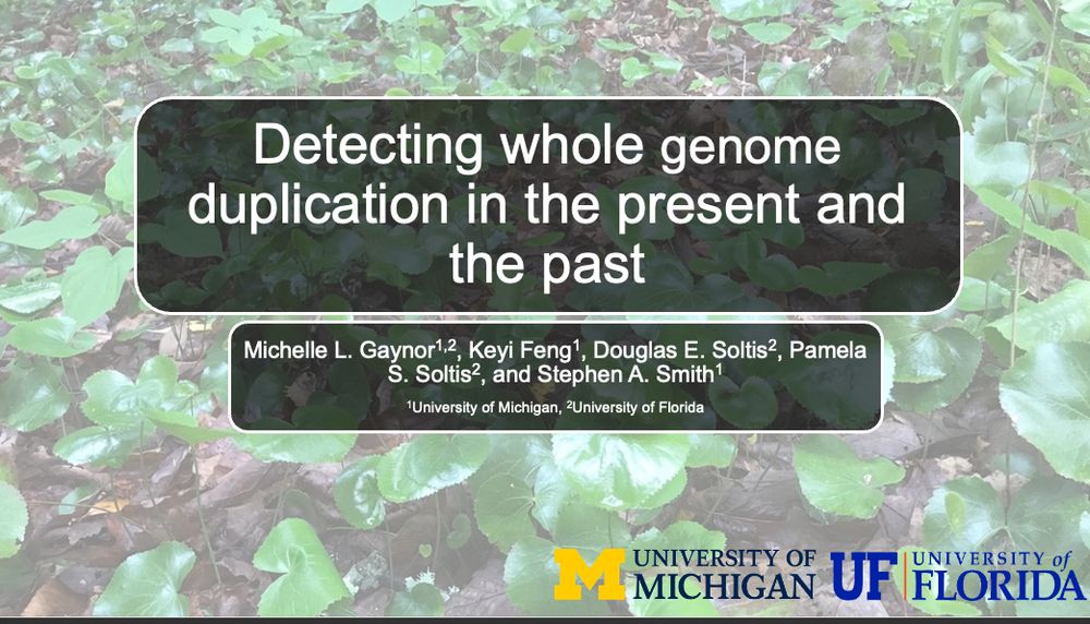 Title slide for Detecting whole genome duplication in the present and the past with Michelle Gaynor, Keyi Feng, Doug Soltis, Pam Soltis, and Stephen Smith. 