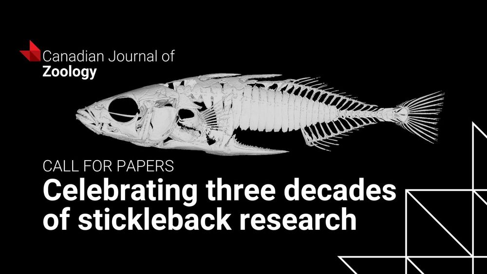 X-ray image of a stickleback fish skeleton highlighting three decades of research in the Canadian Journal of Zoology.
