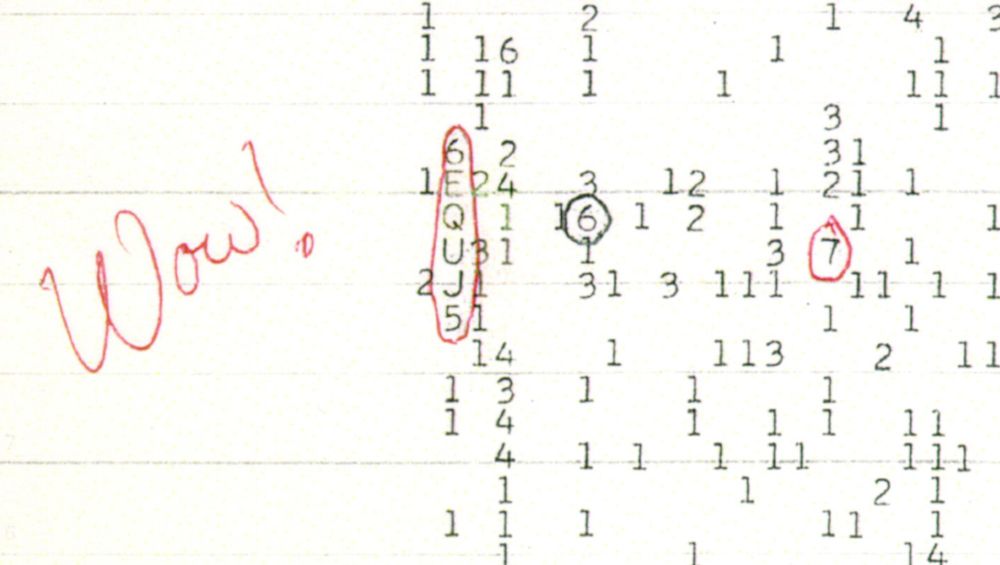 Wow! Signal: September 2024