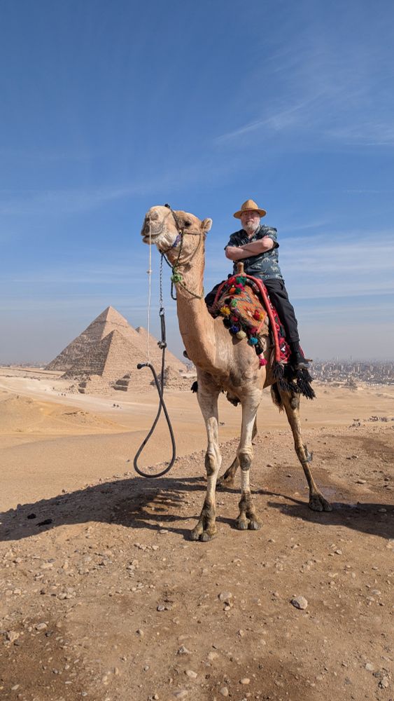 Daniel will Harris on a camel looking cool but actually terrified