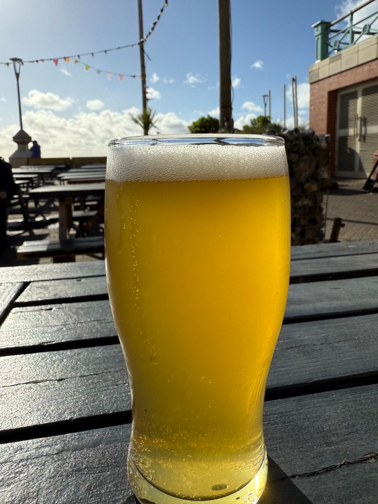 Pint of Sonar ipa with the beach behind