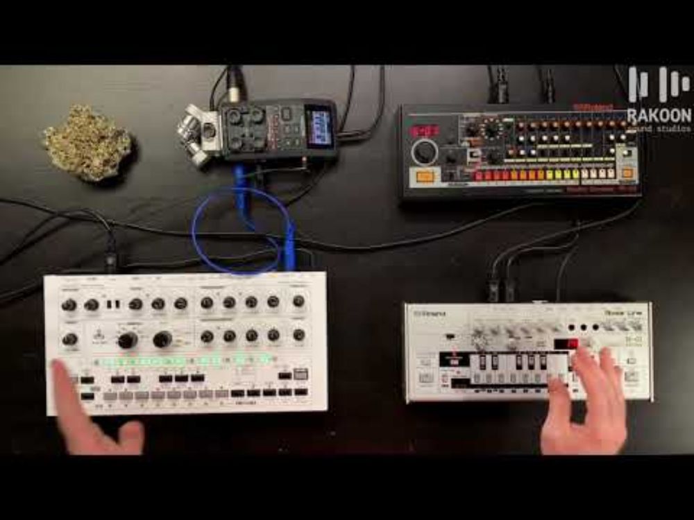 Avalon Bassline vs Roland TB03 Comparison (Rakoon Sound Studios Tips and Tricks)