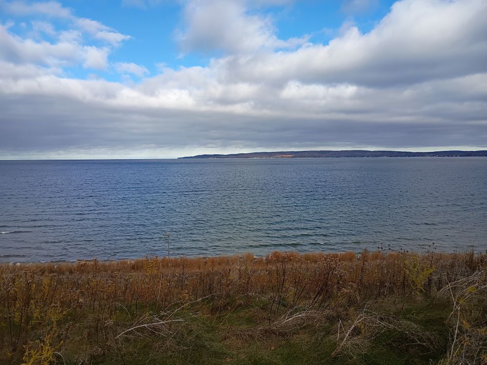 A photo of Little Traverse Bay with grass in the foreground, the water, and Harbor Springs in the background.