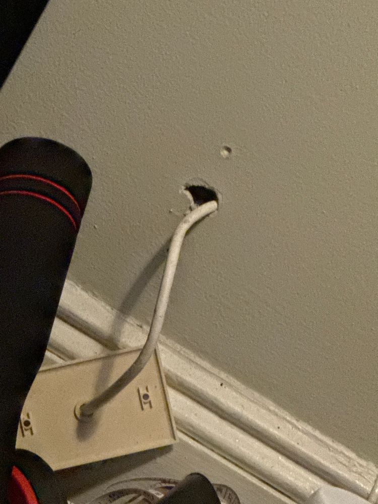 Hole in the wall with hanging broken ethernet outlet cover evidencing the mouse’s incursion into my apartment for a late night snack