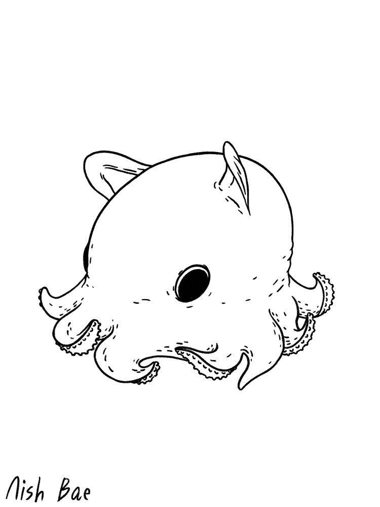 Dumbo Octopus linework drawing