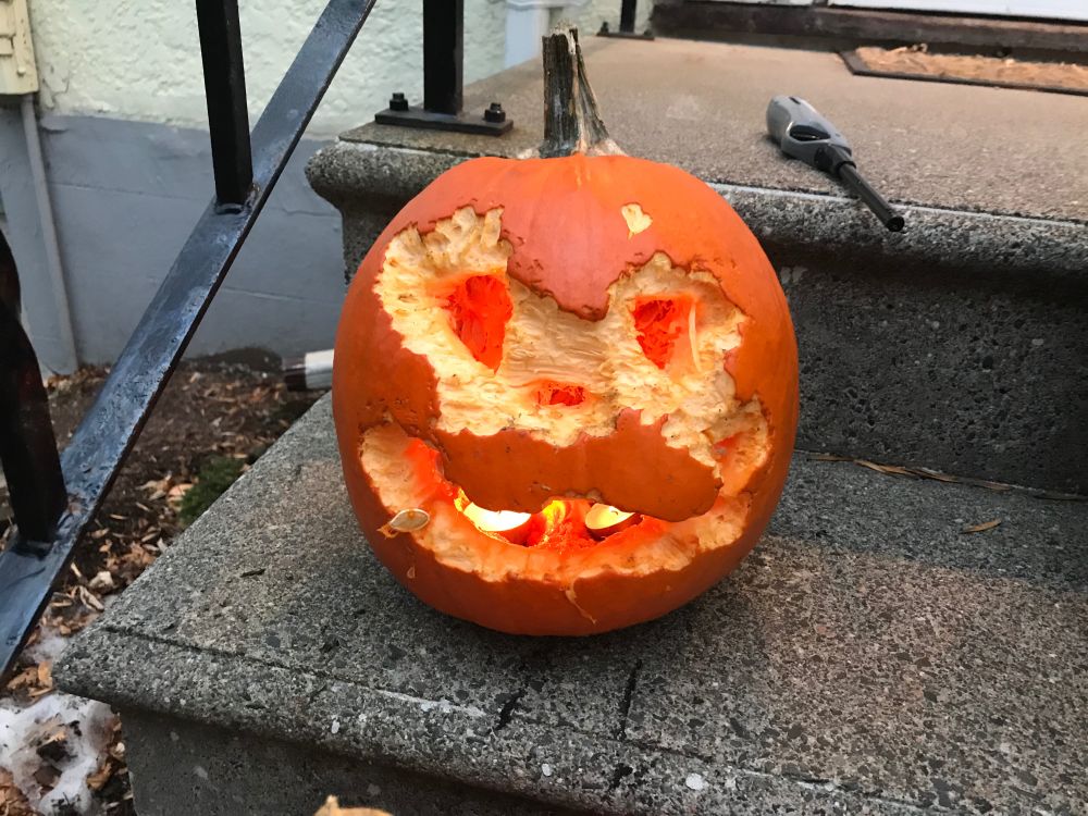 Squirrel Pumpkin 2020