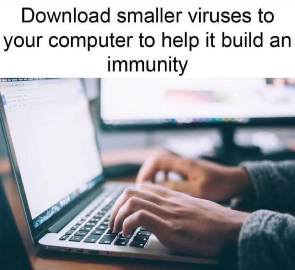 A picture of a person at a laptop with the caption: Download smaller viruses to your computer to help it build an immunity