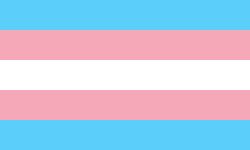 The transgender flag, with two light blue stripes on top and bottom; two pink stripes between them; and a single white strip in the middle.