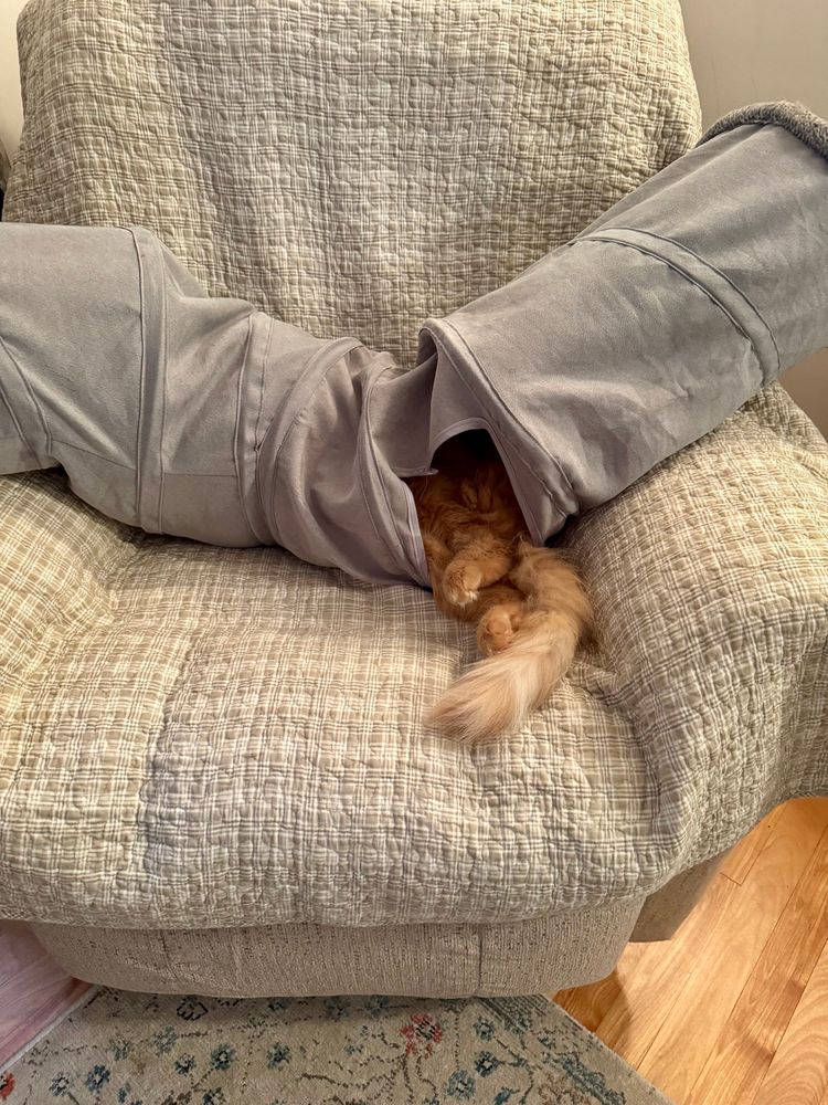 The hind feet and tail of a fluffy orange cat sticking out of a gray fabric tube meant for feline play. Tube and cat are on a beige blanket on a beige reclining chair with a bit of area, rug, and hardwood floors in the background.