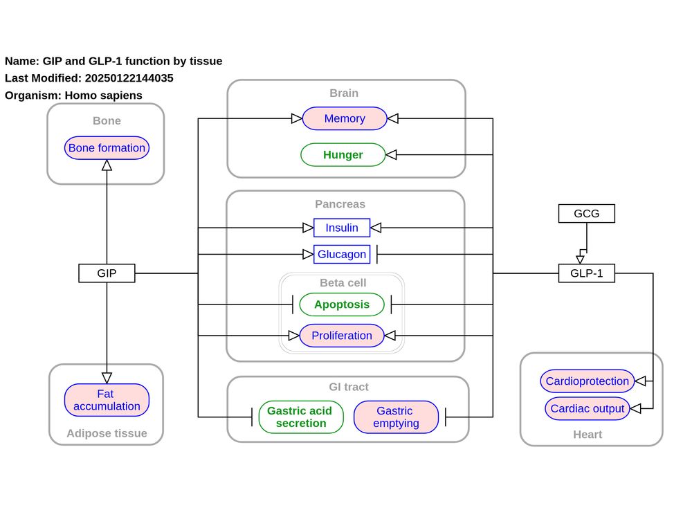 New pathway: "NSAIDs mechanism of action (WP5513)" https://www.wikipathways.org/pathways/WP5513

 "Nonsteroidal anti-inflammatory drugs (NSAIDs) inhibit the cyclooxygenase isoenzymes COX1 and COX2 with varying degrees of specificity for the COX2 isoform. As a result, the conversion of arachidonic acid to prostaglandins (PGs) is inhibited. The main effects of PGs throughout the body are listed." Inspired by Figure 1 in PMID:32322101.