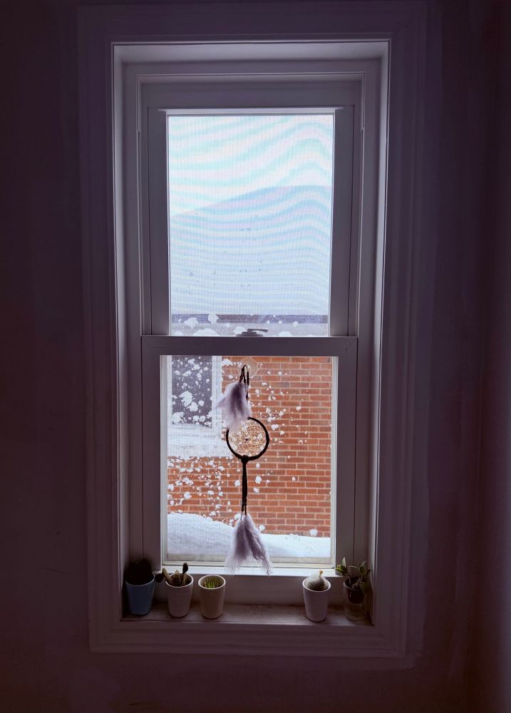 A window with snow on the outer sill. A dreamcatcher hangs on the glass, and several succulent plants line the inside sill. Through the window is a red brick house with a snow-covered roof. 