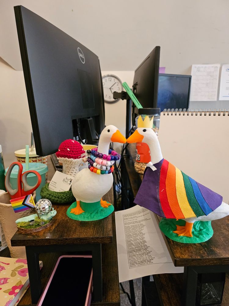 Two seven inch tall geese statues. One is wearing rainbow, transgender, and bisexual necklaces, and the other is wearing a rainbow cape and a crown