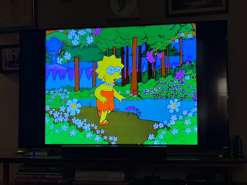 A photograph of a still from Season 8 of The Simpsons where Lisa Simpson is walking through a forest
