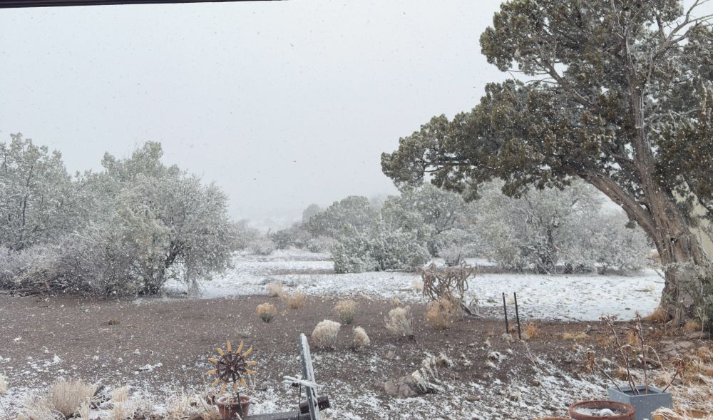 Photo of snow in SW New Mexico this morning. 
