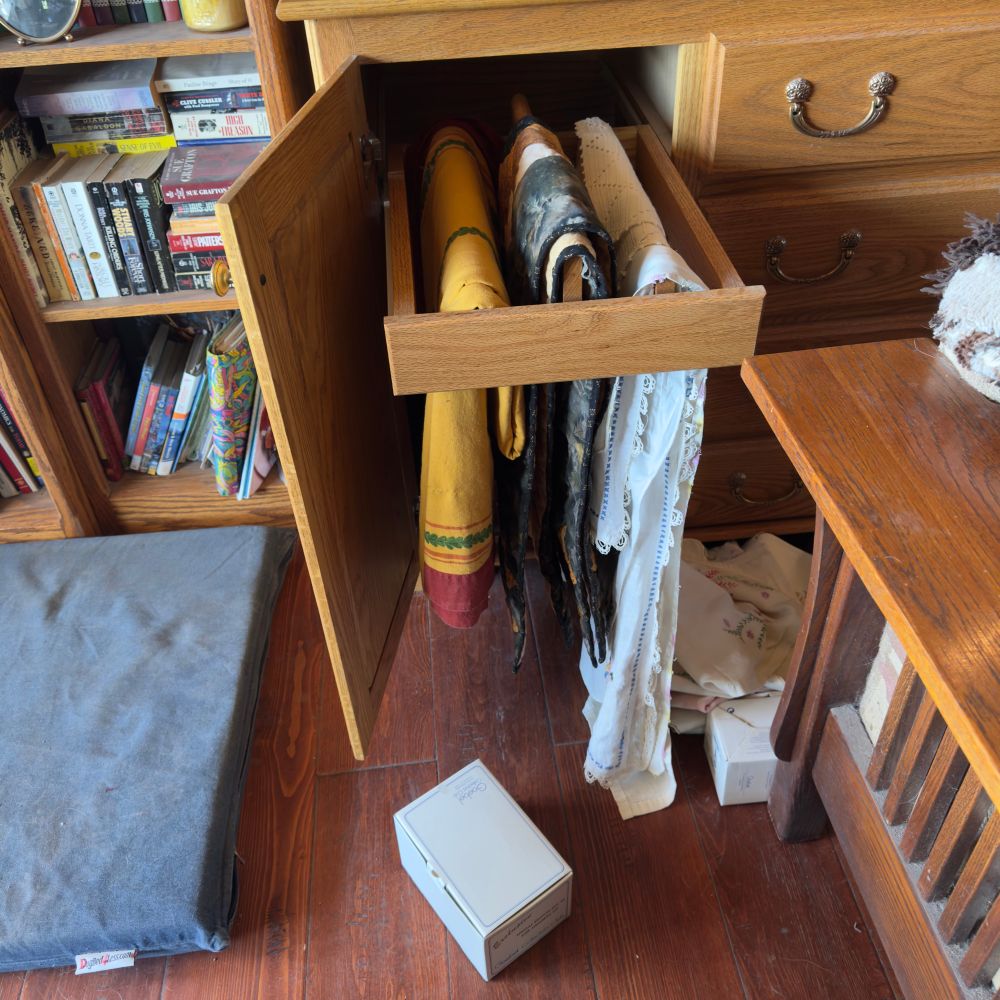 Photo of cabinet door open, linen drawer pulled out and items on the floor. All done by cats. 