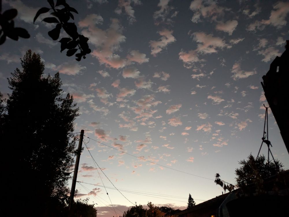 Twilight sky with many small puffy clouds