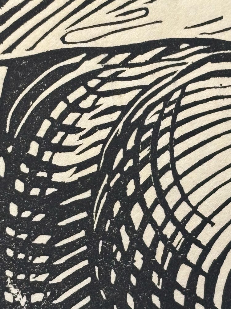 Black and white cross hatched lines from close up of wood engraving.