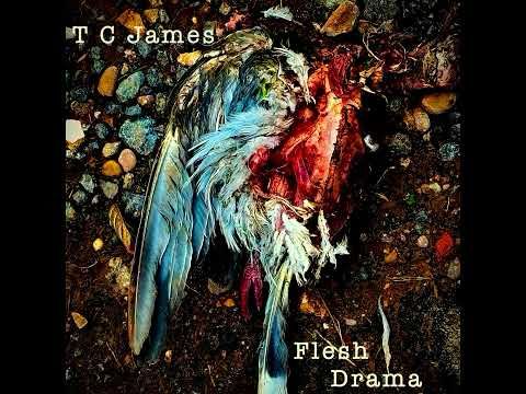 Flesh Drama
