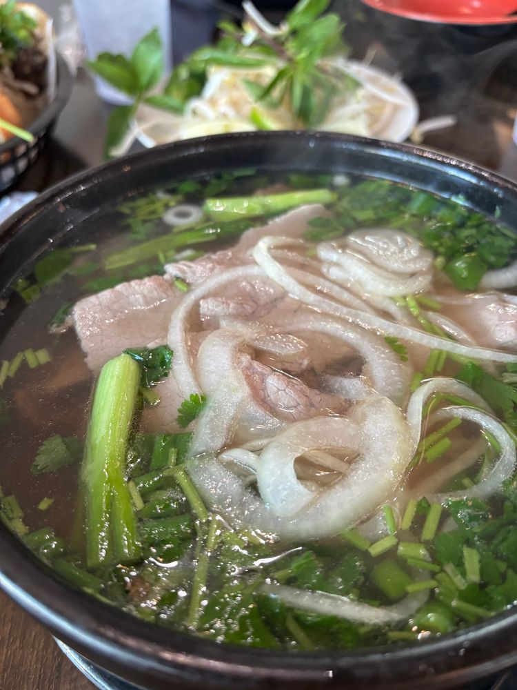 A steamy bowl of pho topped with onion slices, green onion stalk, and chopped cilantro. 