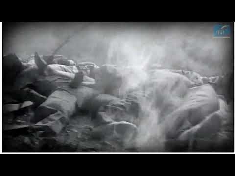 La strage di Sant'Anna di Stazzema - 12 agosto 1944