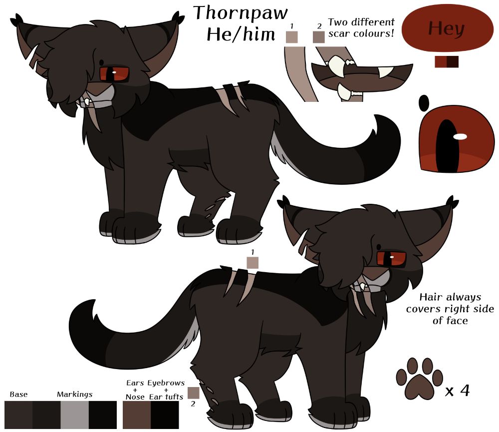 A brown cat with grey and black markings, with one visible red eye, and who has many scars. These include a torn right ear, a scar on his back, and a bite scar on his back right leg. There is also a scar going down the right side of his face and reaching his neck, the scar causing some of his teeth to be exposed. He has fur going down and covering his right eye and that side of his face. There is text that says "Thornpaw, he/him" "Two different scar colours." and "Hair always covers right side of face."