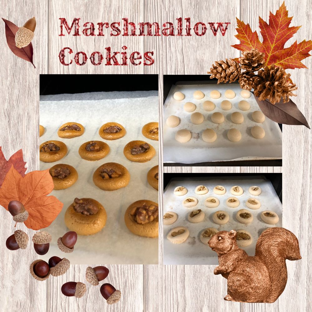 マシュマロを焼いてナッツを乗せただけのクッキー風なお菓子